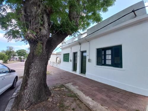 公寓 - 地面楼层