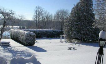 a snowy landscape with a large tree and snow - covered ground , possibly in winter at Black Swan Inn