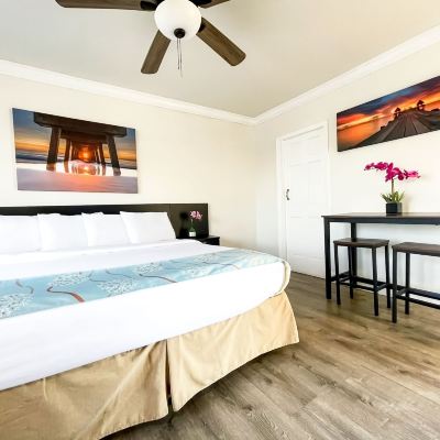 Superior Room The Palms Promo Code