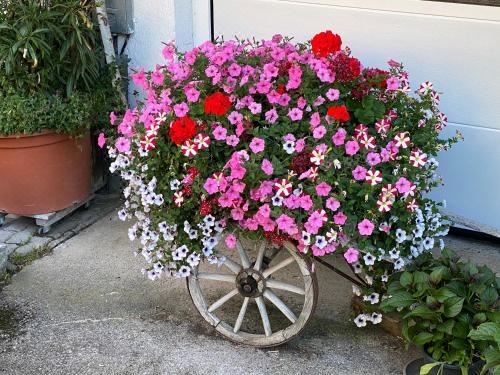 三人间 - 带共用衞生间