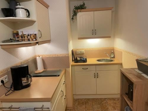 一卧室公寓（带阳台）