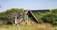Saadani Beach Camp Hotels in 