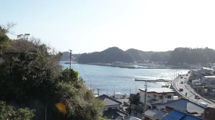 (株)アースメディエーション アマミ 食事・レストラン