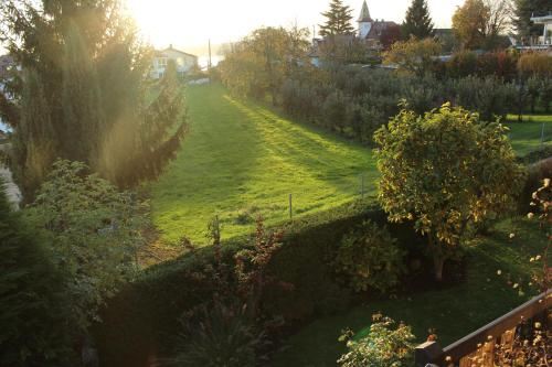 公寓 - 地面楼层