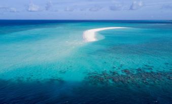 an aerial view of a large body of water , possibly an ocean or a large lake , with a sandy beach in the distance at Fushifaru Maldives