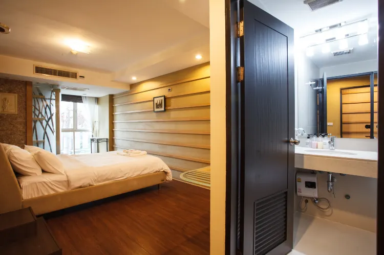Condo, Entire House or Apartment