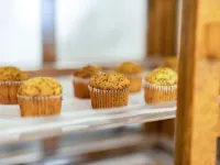 The Millwood - A Boutique Hotel Hotel a Millbrae