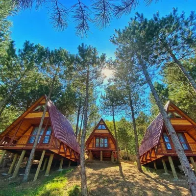 Fikri Atalay Konagi Hotels in 