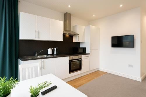 Stylish Modern Apartment for up to 4 Nr CityCentreApartment-Ground Floor