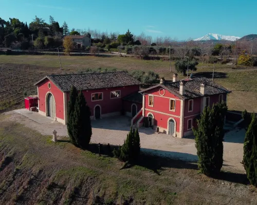 Cantina d'Erasmo - Camere e Degustazioni Hotels in Offida