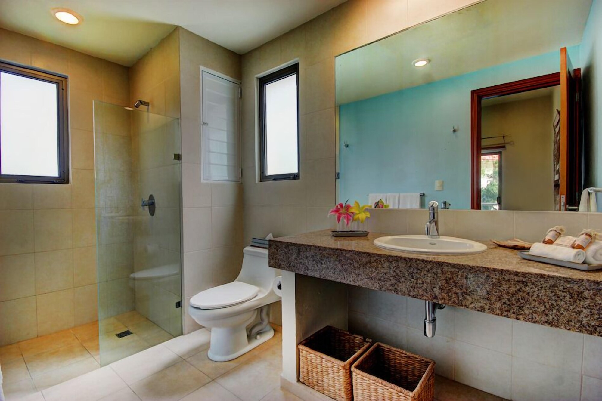 Palmar 三臥室， 園景