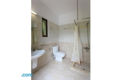 别墅（带独立泳池）