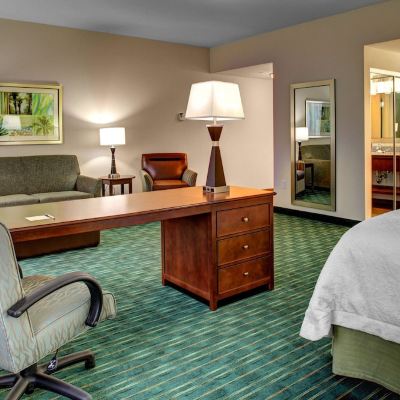 Studio With 1 King Bed, Sofabed-Hearing Accessible And Non-Smoking Hampton Inn and Suites Coconut Creek Promo Code