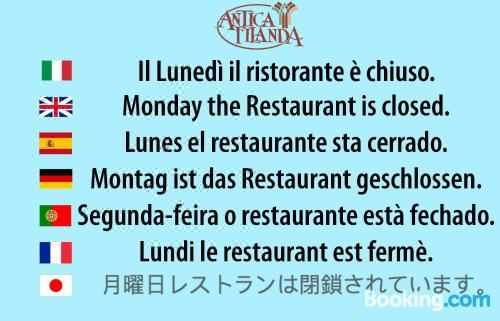 山景双人或双床间