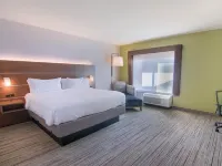 Holiday Inn Express & Suites MOBILE - UNIVERSITY AREA by IHG Hotels in Mobile