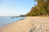 La Margarita