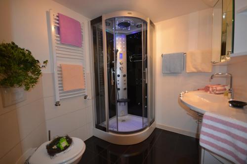 豪华一卧室公寓 - 带阳台