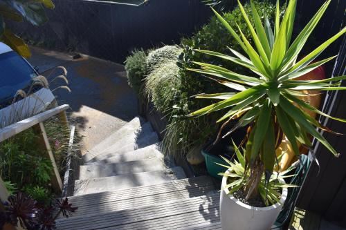 豪华大床一室房