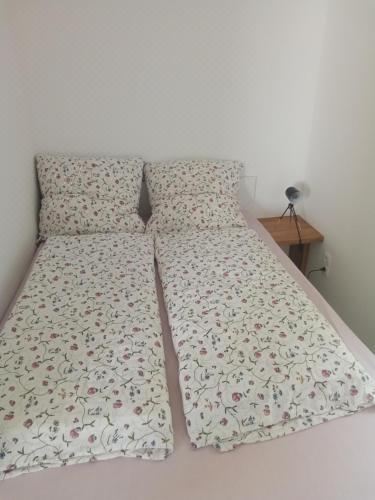 一卧室公寓带淋浴