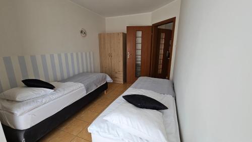 标准一卧室公寓