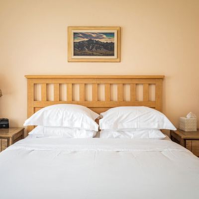 Deluxe Queen Suite With Sofa Bed Historic Hotel Condon Promo Code