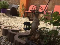 Vulkán Wellness Panzió Hôtels à : 