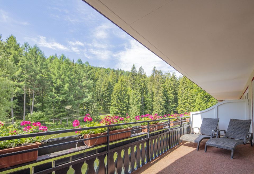 公寓， 阳台， 湖景 （Seeseite）