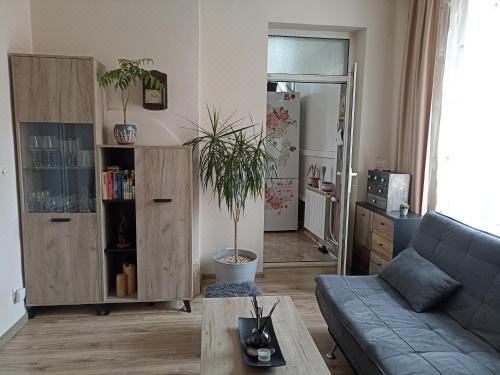 带露台一室公寓