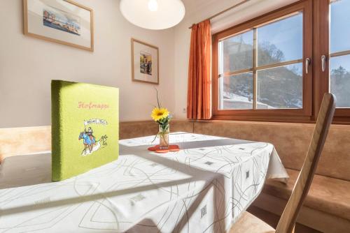 高级两卧室公寓