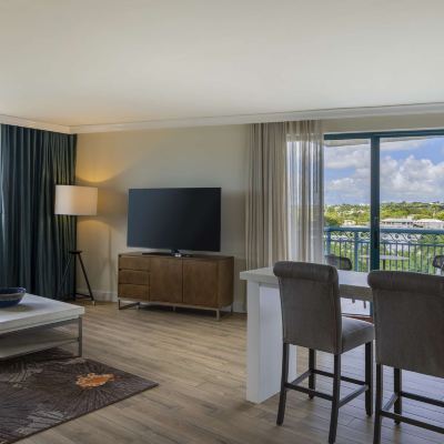 One Bedroom King Suite