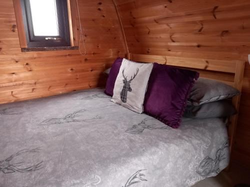 Hillside Camping Pods and Shepherd's HutChalet