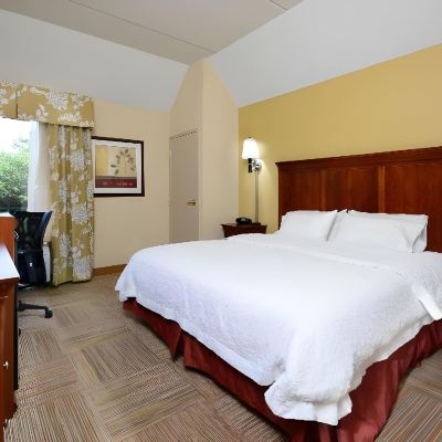 One Bedroom Suite With 1 King Bed And Bathtub-Non Smoking Hampton Inn Raleigh-Capital Boulevard North Promo Code