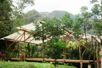 Omega Tours Eco-Jungle Lodge Hotels in 