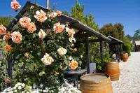 Beechworth on Bridge Motel
