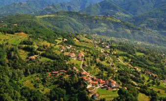 Eliseo B&B Ristorante - Housity