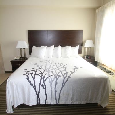 King Room-Accessible-Non-Smoking Bowman Inn & Suites Promo Code
