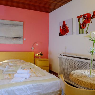 Classic Double Room With Ensuite RheinRiver Guesthouse - Boutique Art Hotel am Rhein Promo Code