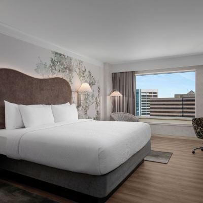 特大床房附無障礙淋浴 格羅夫酒店優惠