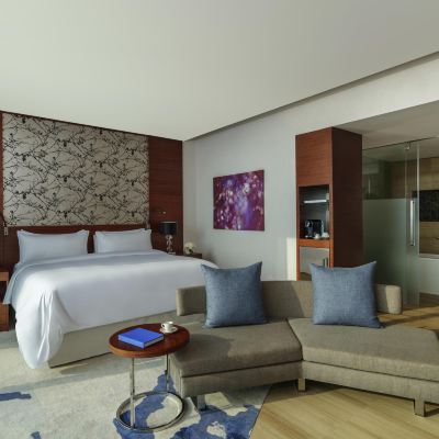 Fairmont King Room - Smoking Fairmont Bab Al Bahr Abu Dhabi Promo Code