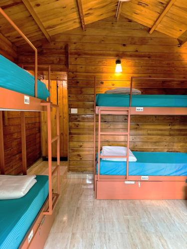 4人混合宿舍（一张床位）