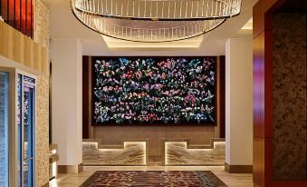 Live Tulcea Hotel - Housity