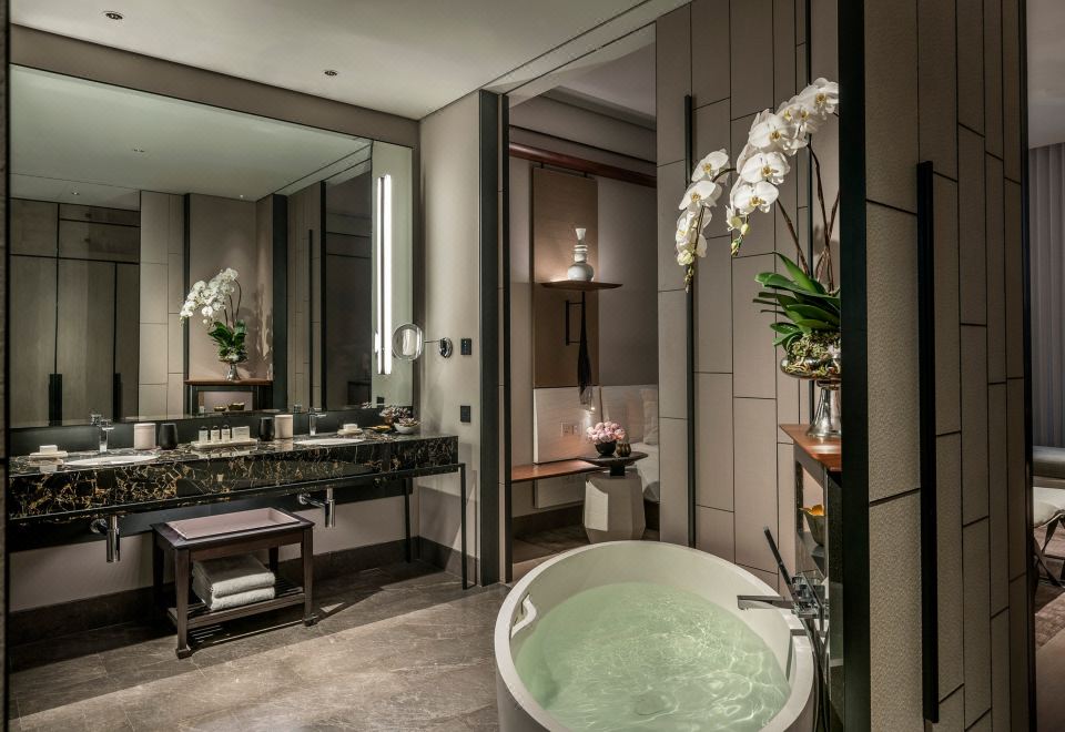 豪华间 - 带2张单人床/单人床