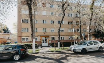 1Bdr Central Apartment in Arad