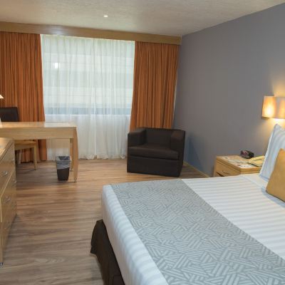 Junior Queen Suite Sevilla Palace Promo Code