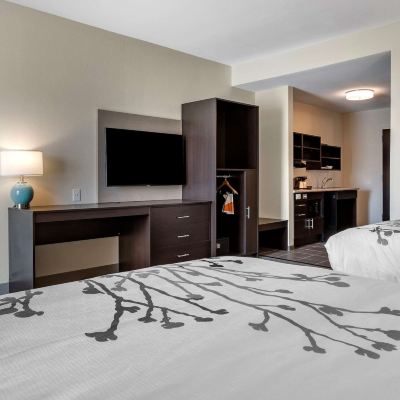 Suite, 2 Queen Beds, Accessible, Non Smoking Sleep Inn & Suites Promo Code