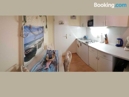 一卧室公寓带淋浴