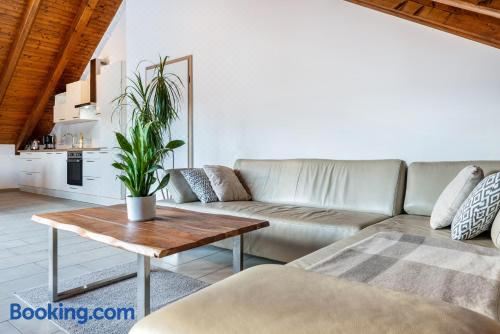 高级两卧室公寓