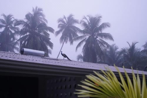 特大床房（带阳台）