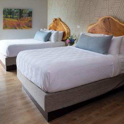 Superior Room, 2 Queen Beds, Bay View (Bay View Queen, Ada) Delamar Traverse City Promo Code