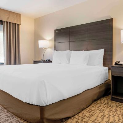 King Room-Accessible-Non-Smoking Comfort Inn & Suites Promo Code